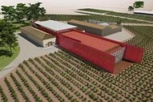 Image: 2020-10/147.JPG